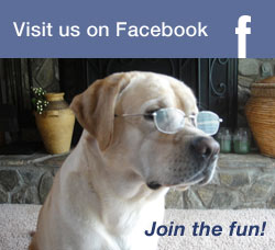 Visit Us On Facebook